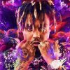 Singer Juice Wrld Rapper Album Cover Hip Hop Posters Canvas Painting Wall Art Print Picture for.jpg 640x640 2 - Juice Wrld Store